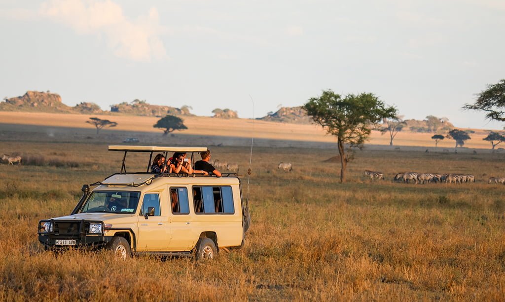 Tanzania Safari