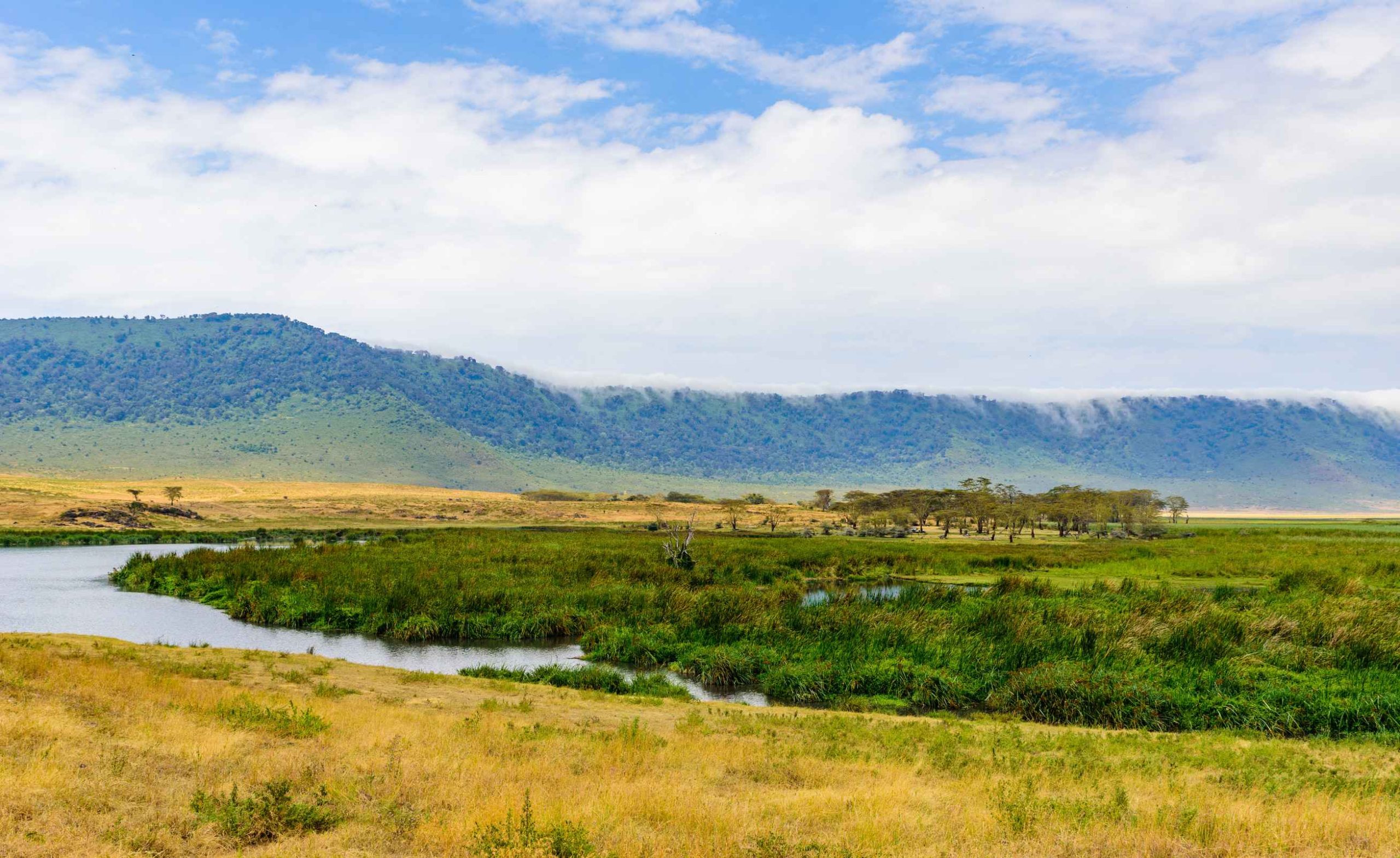 Panorama of Ngorongoro crater National Park with the Lake Magadi. Safari Tours in Savannah of Africa. Beautiful landscape scenery in Tanzania, Africa