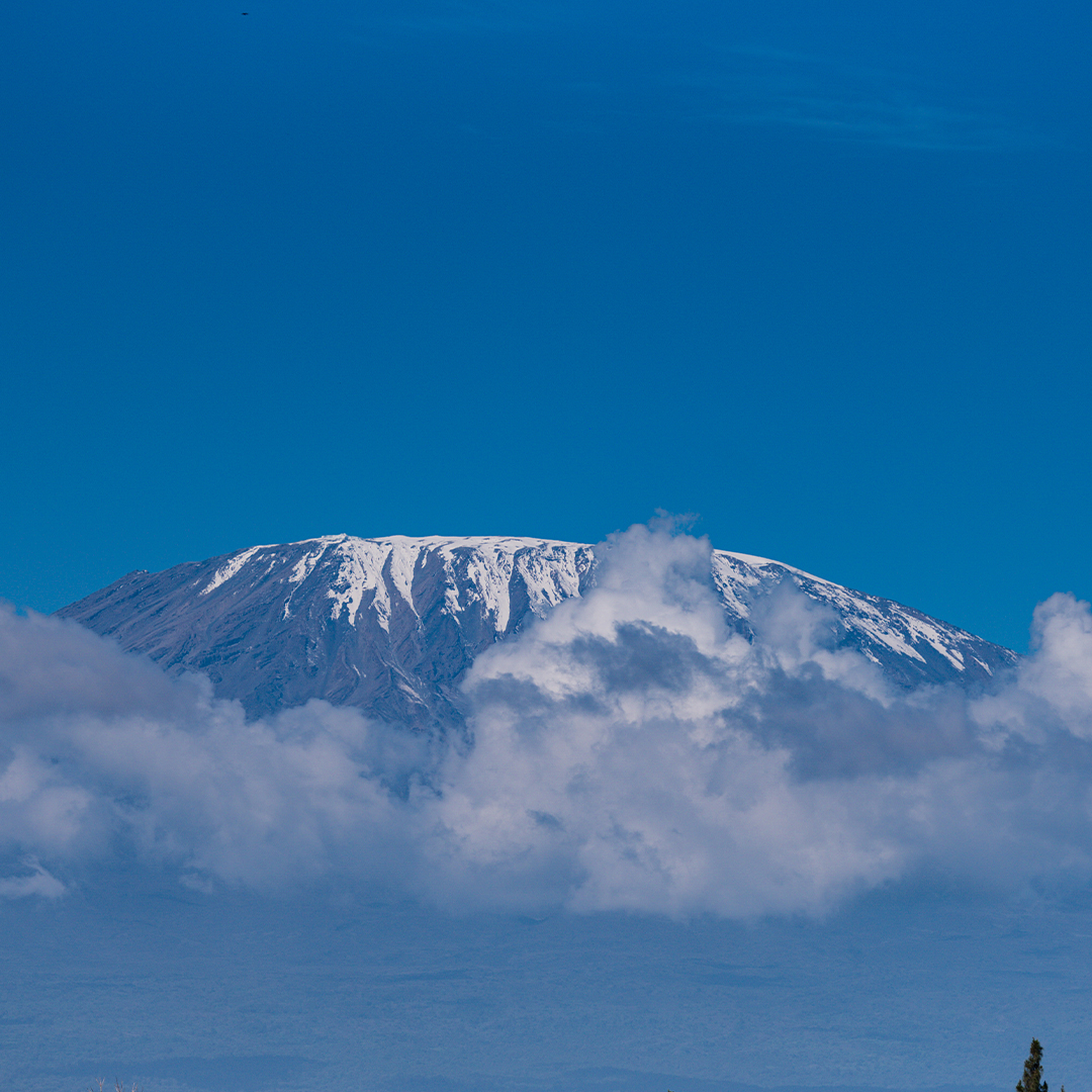 Kilimanjaro airport