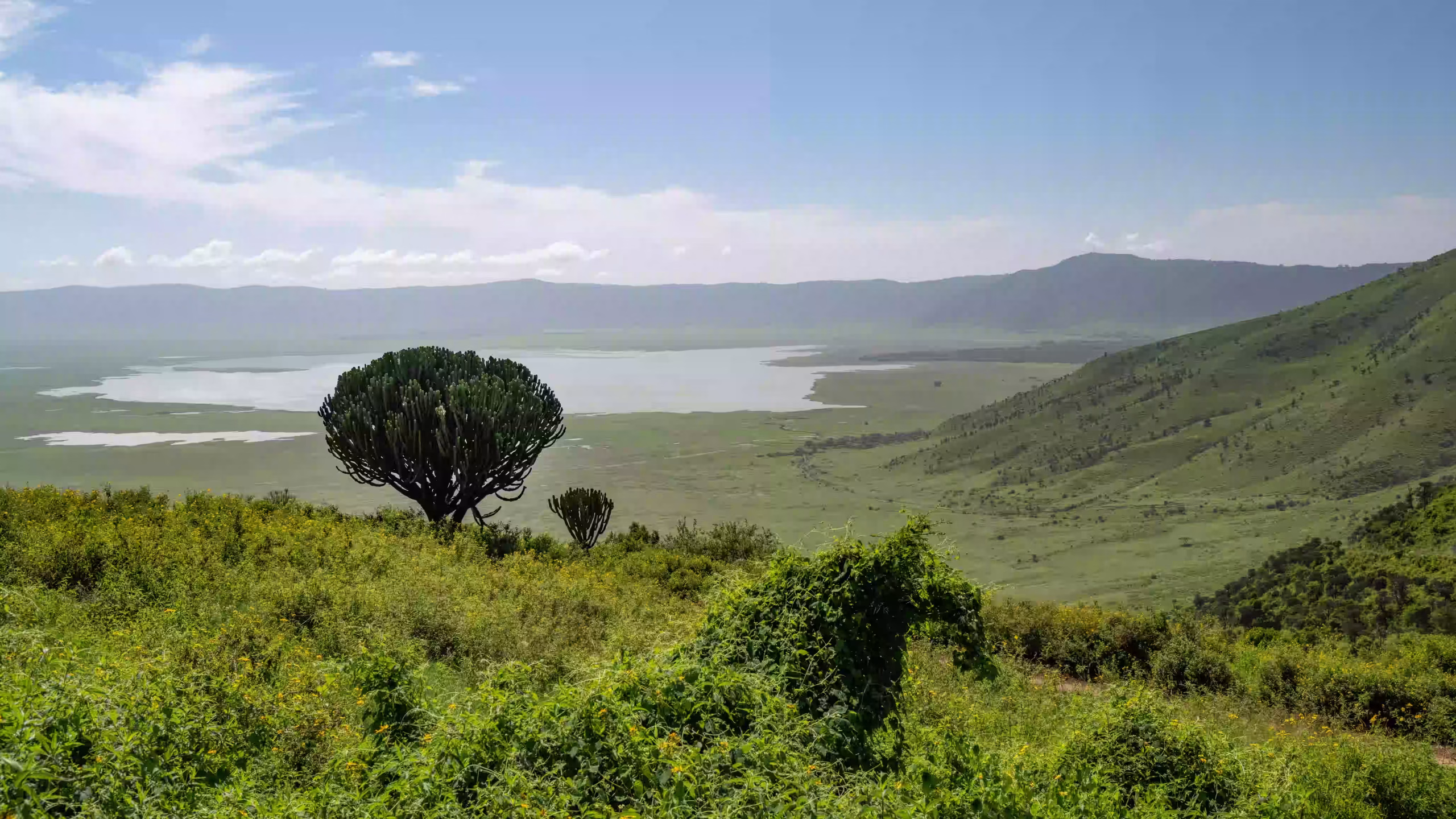 ngorongoro (2)