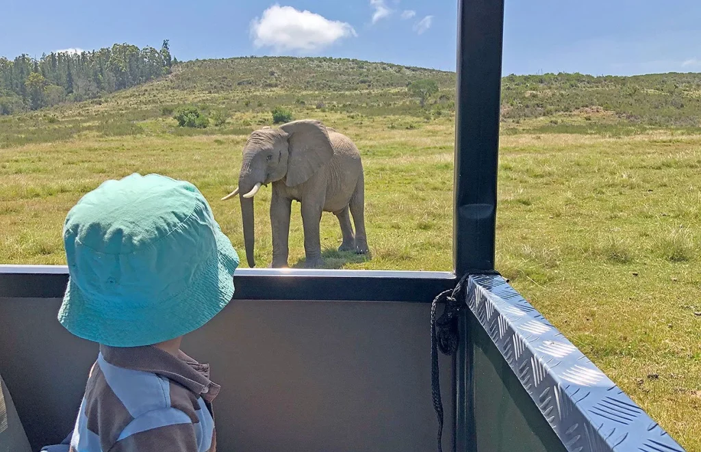Children engaged in wildlife spotting activities during a Tanzania safari game drive