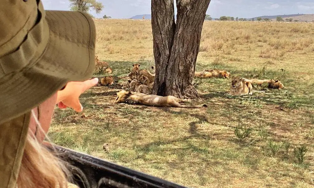 Family enjoying affordable safari experience in Tanzania