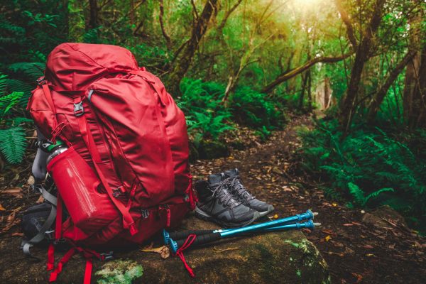 Red backpack and hiking gear set placed on rock in rainforest of Tanzania,. Trekking adventure.